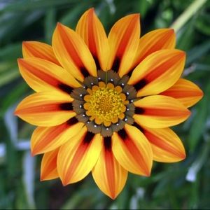 Meet your Posher, Moriah